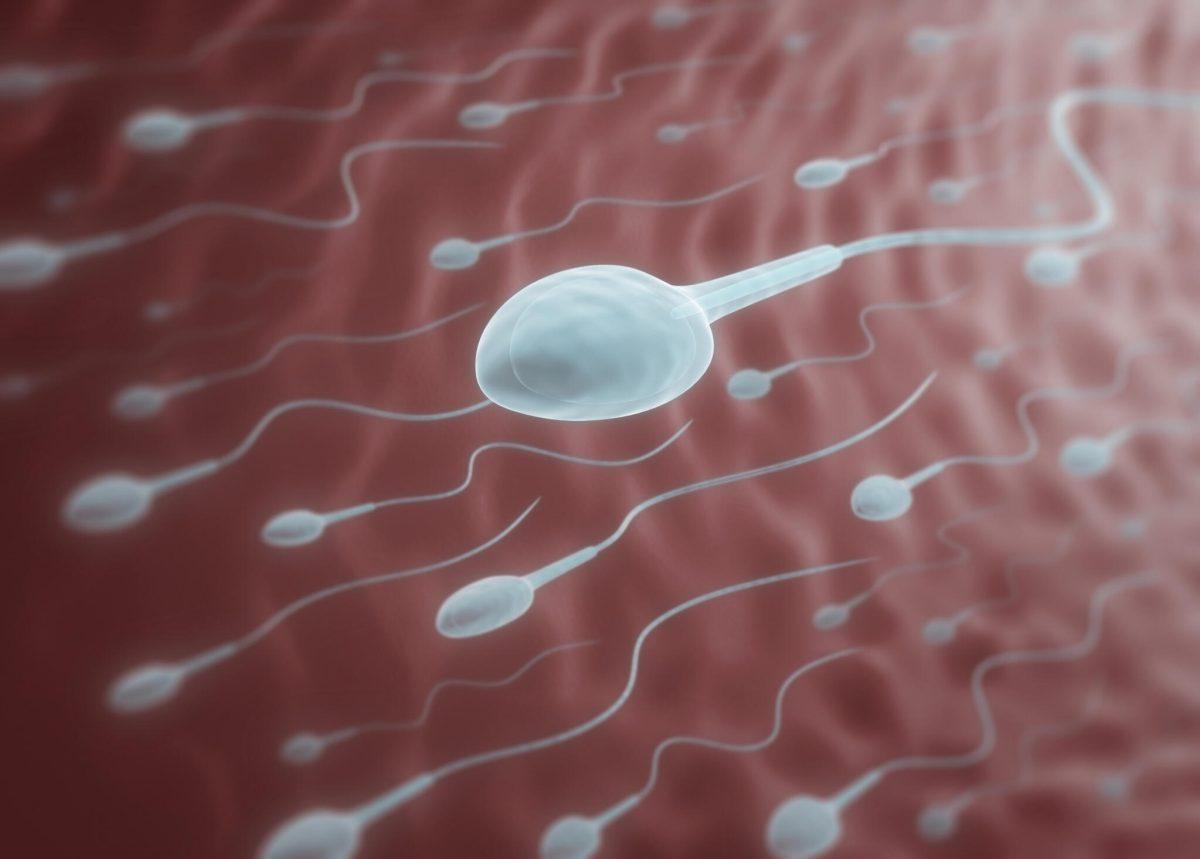 Can treatement against sperm