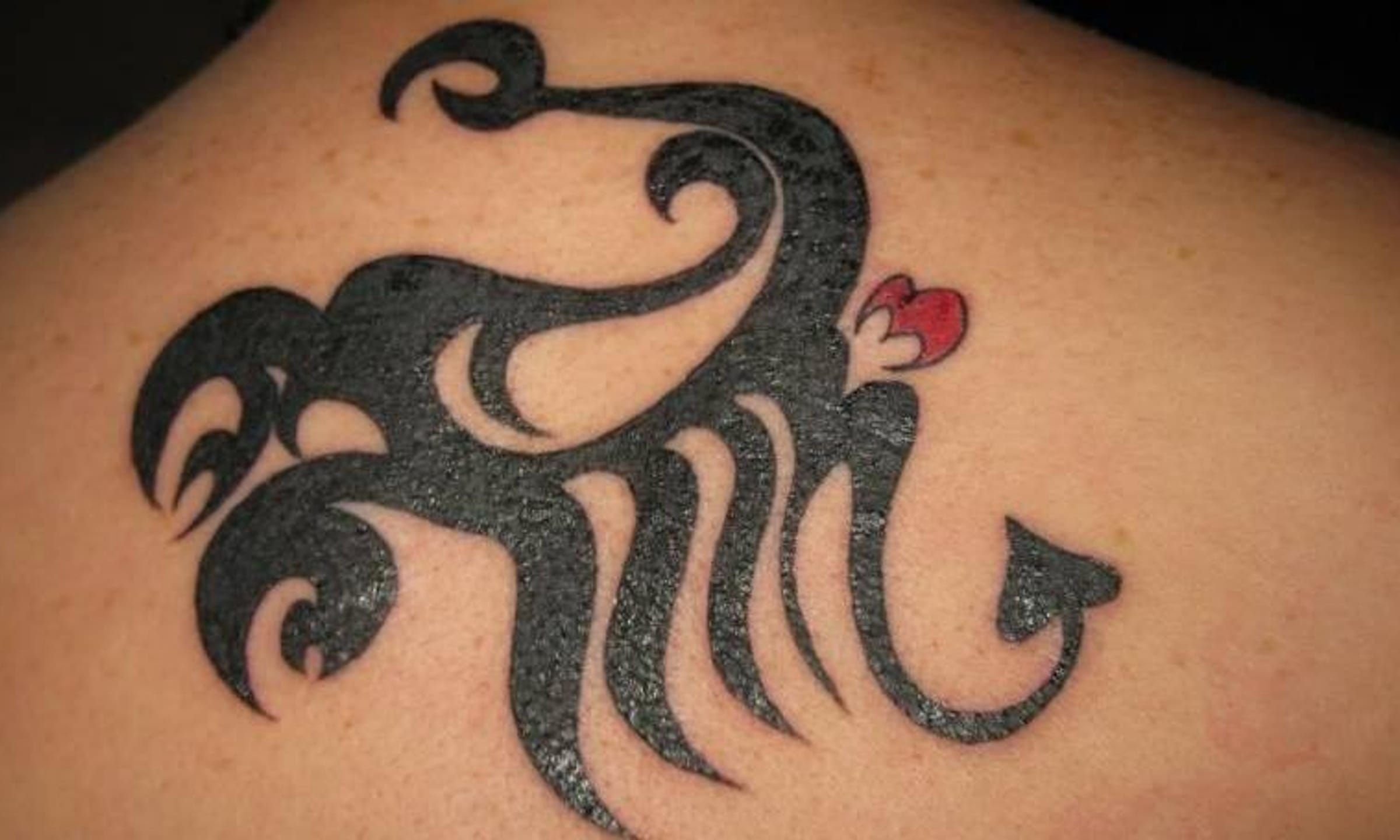 Значение татуировки скорпион
