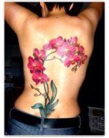Татуировка орхидея на спине у женщины