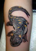 Цветная татуировка саламандра на руке