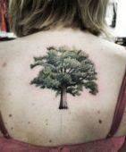Татуировка дуб на спине у девушки