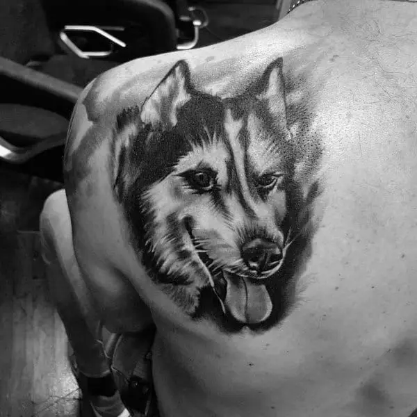 Tatuaxe de husky nas costas masculinas