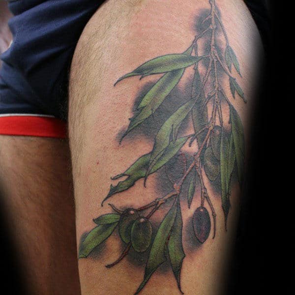 Photo of olive branch tattoo on legs.