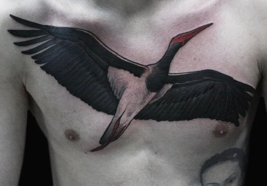 ရင်ဘတ်တွင် stork tattoo