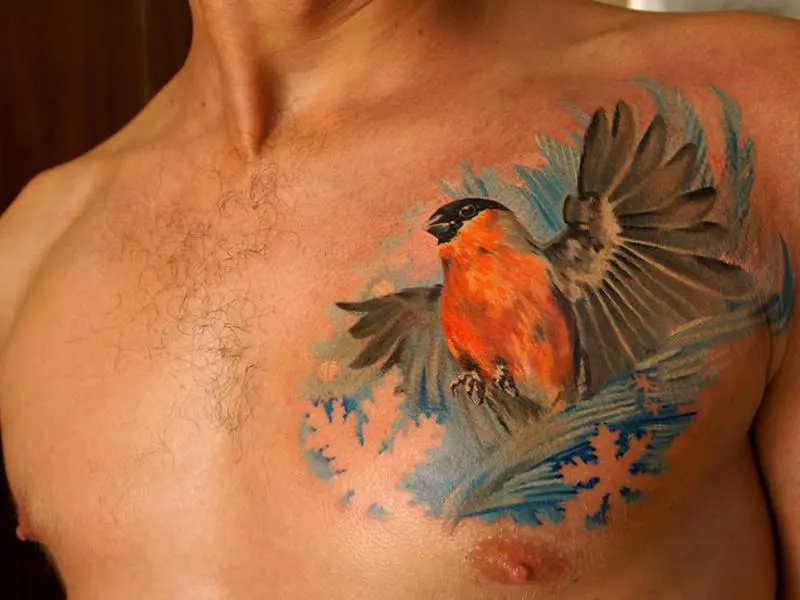 Gimpel Tattoo auf der Brust und blauem Hintergrund