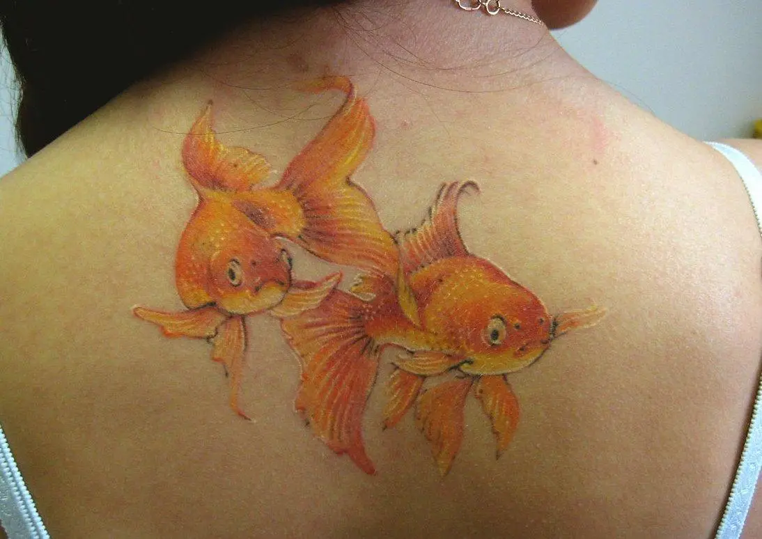 tatuaxe de peixe dourado nas costas