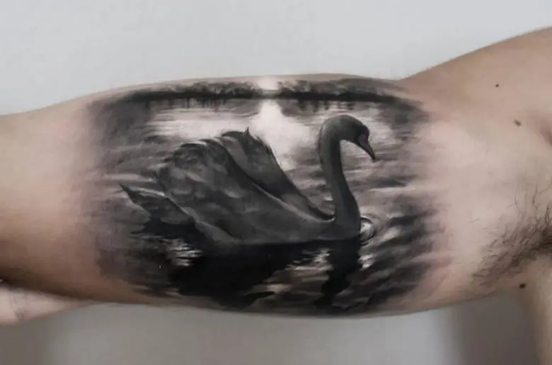 tamsios gulbės tatuiruotė