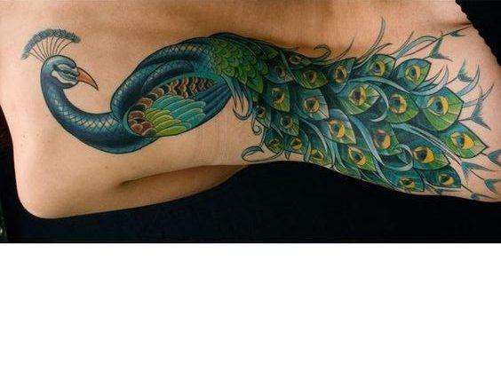 The Meaning of a Peacock Tattoo - All About Tattoo