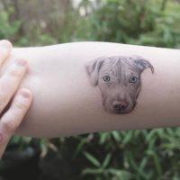 Татуировка собака на руке