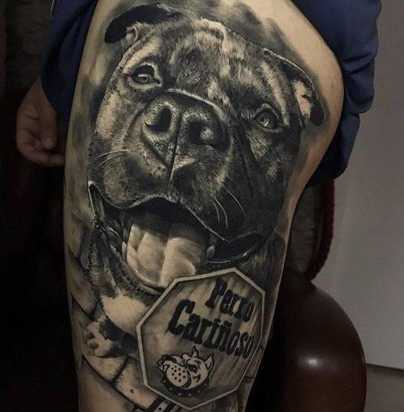 Pitbull Tattoo am Oberschenkel