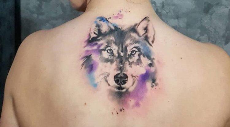 tatuaggio lupo acquerello
