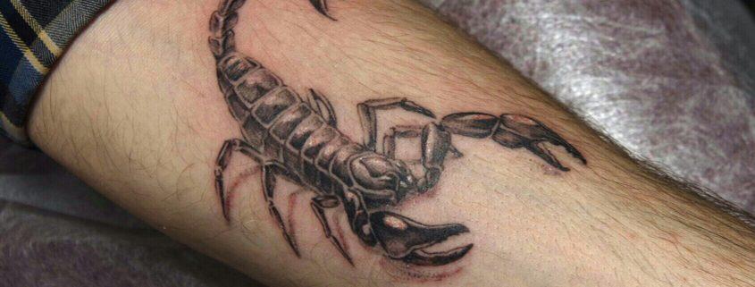 100 tetovaže zodiakalnega znaka škorpijona - fotografija in pomen