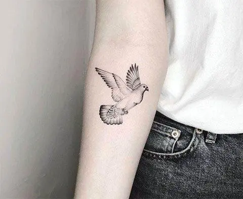 101 tattoos of a dove (and their meaning) and a dove of peace