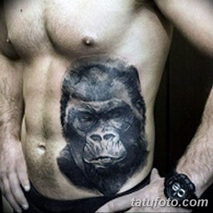 105 tatu gorila (dan maksudnya)