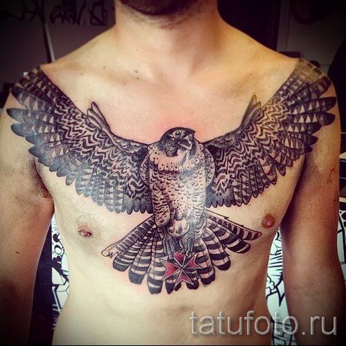 105个猎鹰纹身：最好的设计和意义