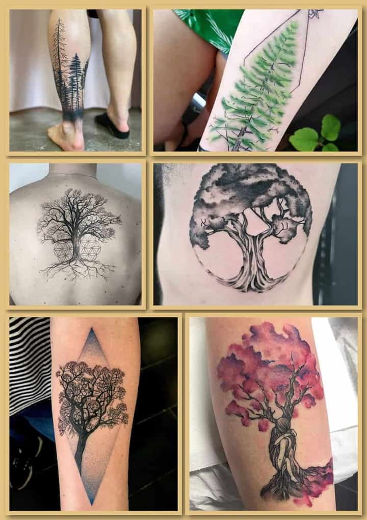 119 tetovaža na drvetu: vrste, značenja i savjeti