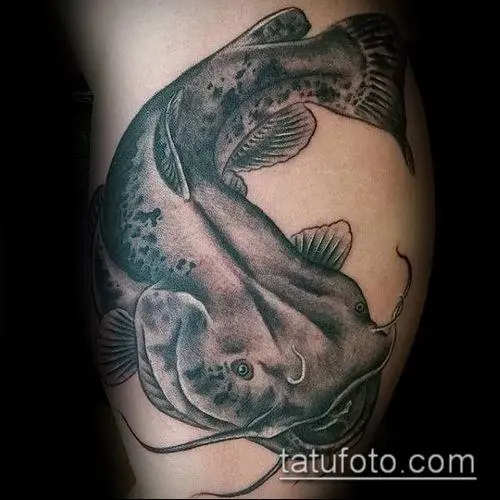 140 pisces tattoos (et eorum significationes): balaena, silurus