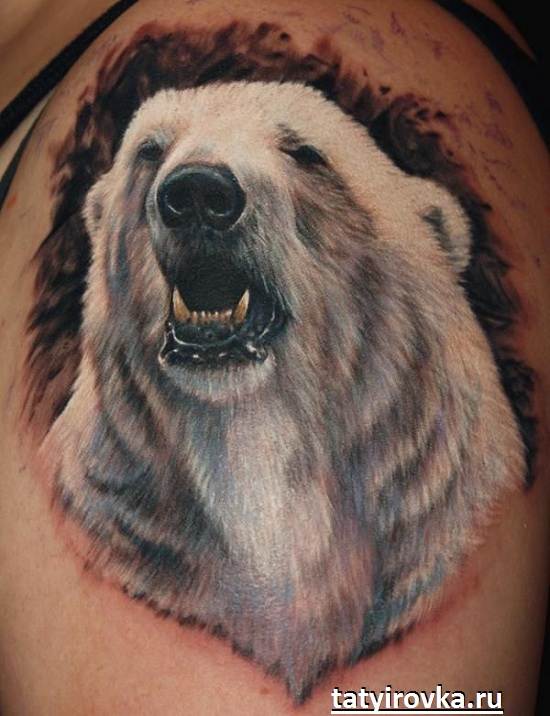 150 tetovaža medvjeda: najbolji dizajn i značenje