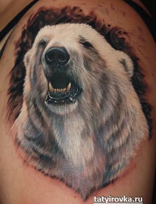 150 tatuaxes de oso: mellores deseños e significados