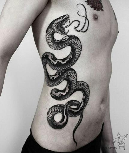 32 ideias de Desenho de cobra  desenho de cobra, cobras, desenho
