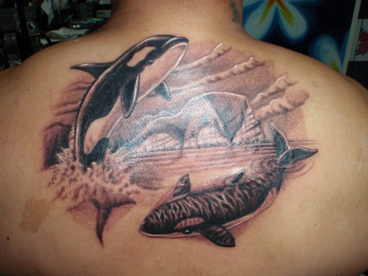 Татуировки с китами &#8212; оригинальные идеи и значение