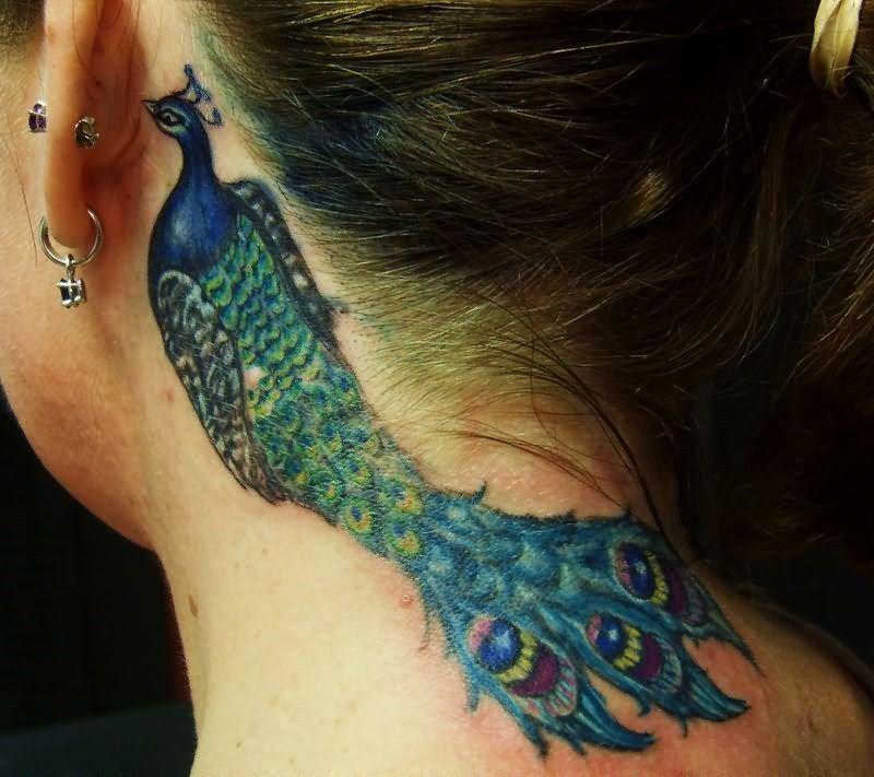 41 peacock (qaib ntxhw) tattoo: tsim tau zoo tshaj plaws thiab lub ntsiab lus