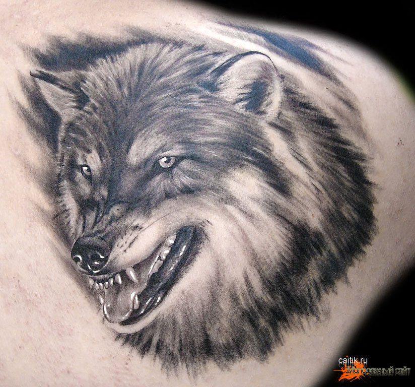 49 tatuaxes de lobos celtas (e que significan)