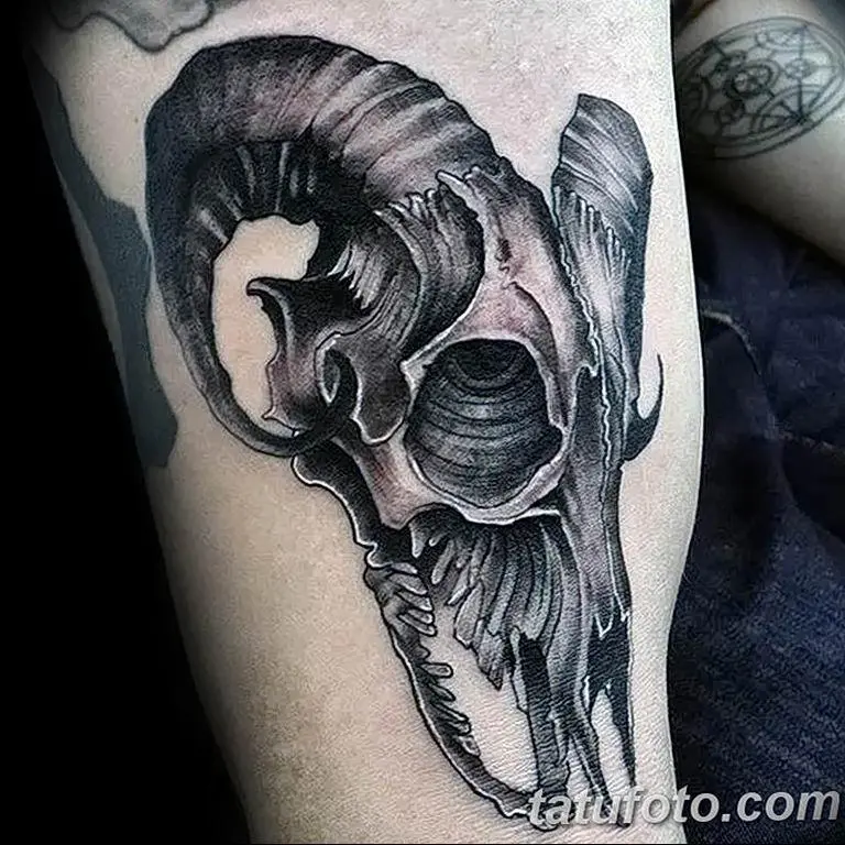 Ama-tattoo ama-skull angama-55 (nokuthi asho ukuthini)