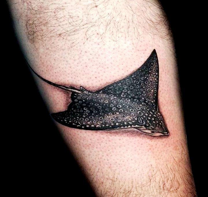 55 tatueringar av stingrays (och deras betydelser)