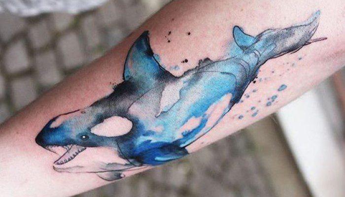 60 τατουάζ φαλαινών δολοφόνων (και τι σημαίνουν)
