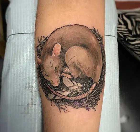 66 rat tatoo: pi bon desen ak siyifikasyon