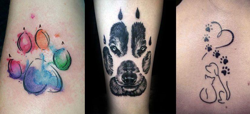70 tatoeages van hondenvoetafdrukken (en hun betekenis)