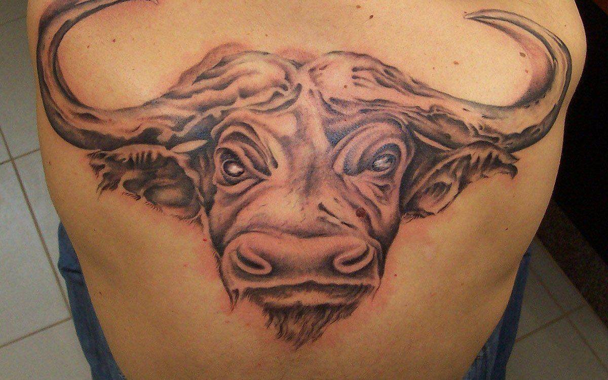 71 тетоважи со бикови: најдобри дизајни и значење