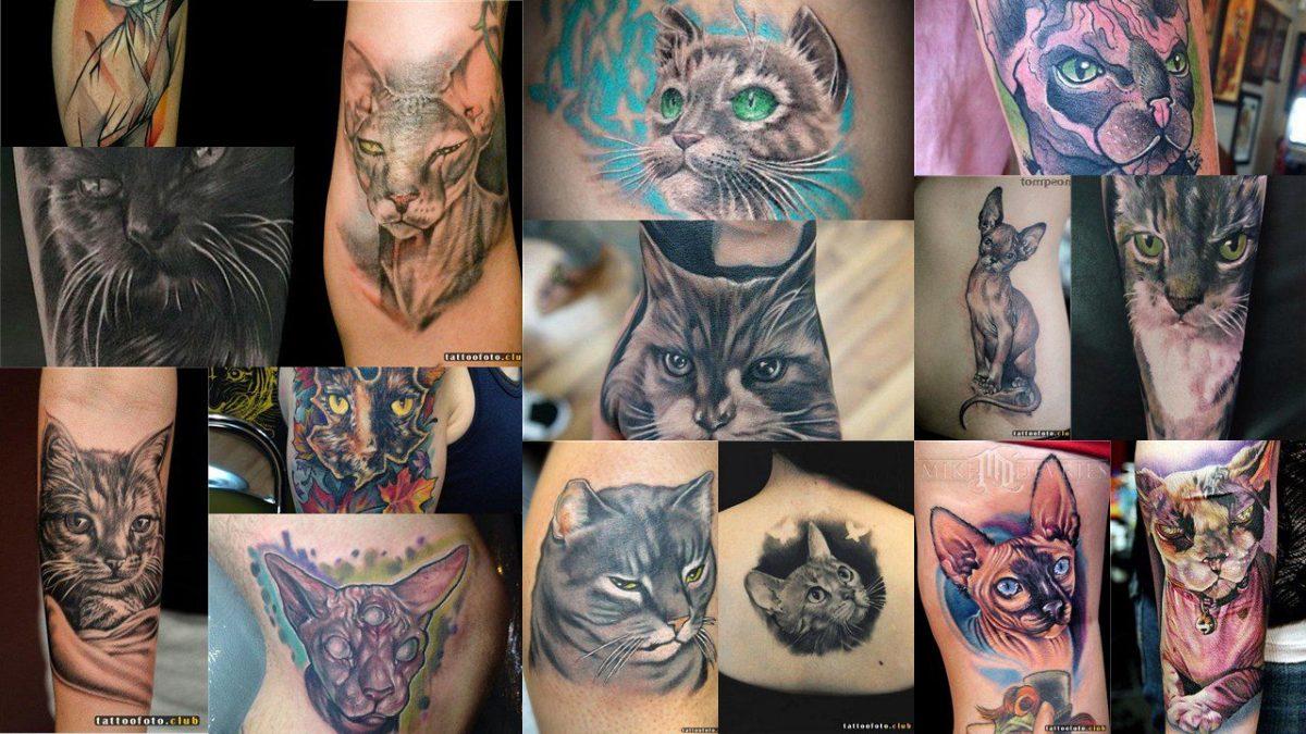 最もかわいい猫のタトゥー 75 選