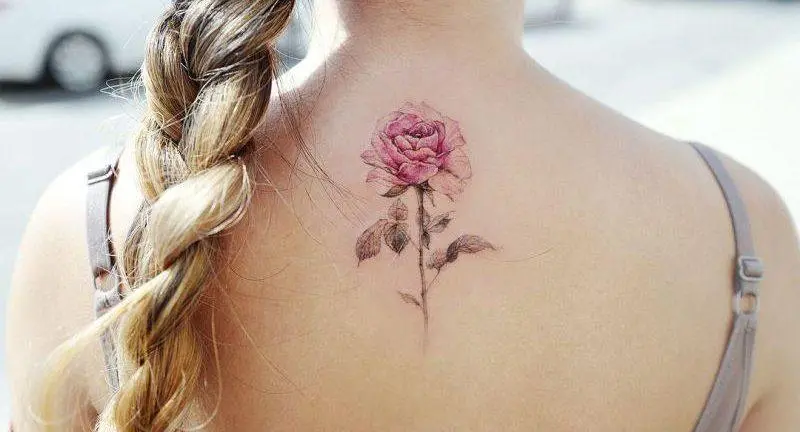 80 curly flower tattoos: designs and meanings