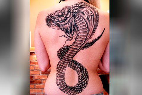 80 Kobra Tattooen (a wat se mengen)