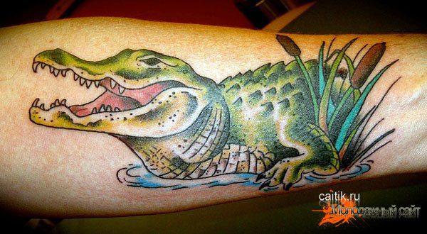85 de tatuaje de aligator și crocodil și semnificația lor