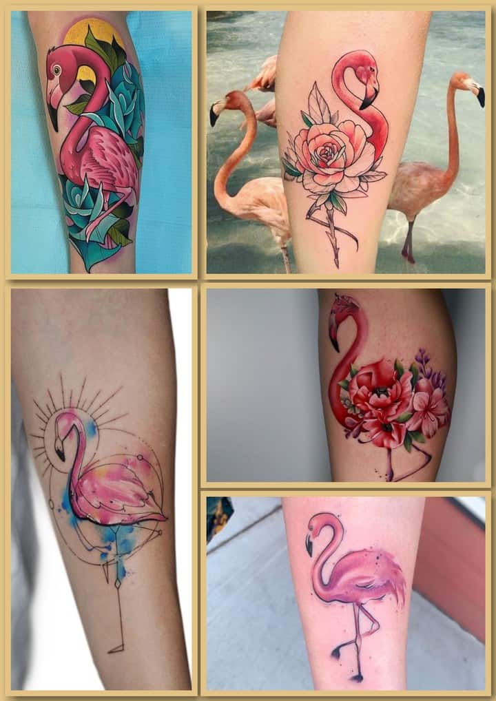 Flamingo tattoo éndah - poto jeung harti