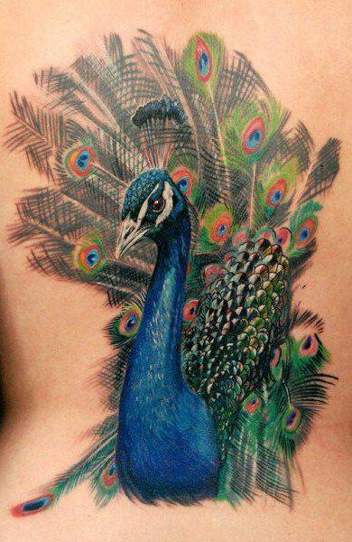 Maravilloso tatuaje de pavo real - foto y significado