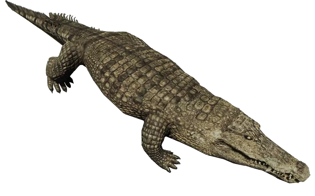 Крокодил символикасы