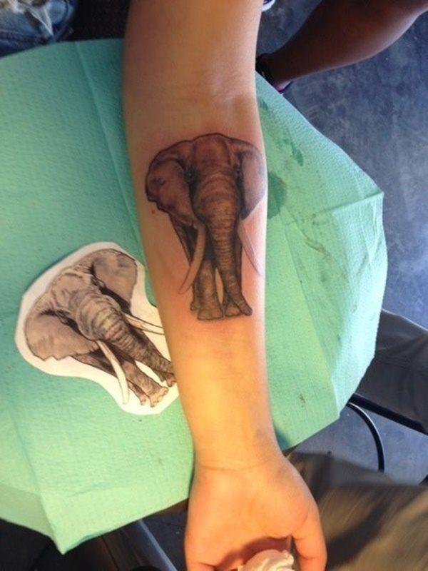 татуировка слона рисунок 1896