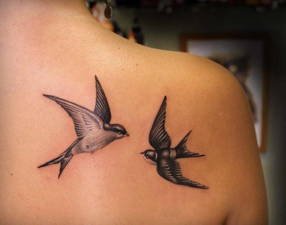 令人惊叹的燕子纹身 - 照片和含义