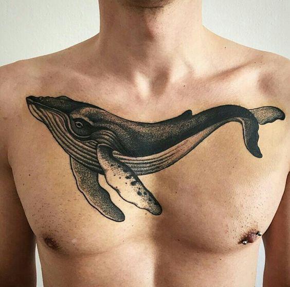 Biểu tượng cá voi. Con cá voi tượng trưng cho điều gì?