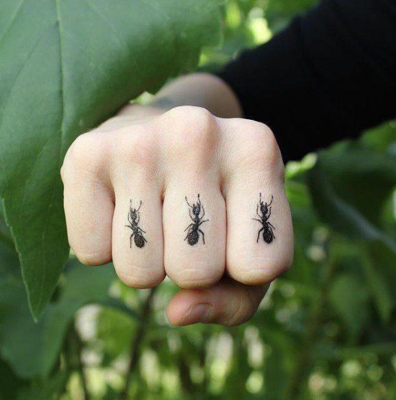 Simbol semut. Apa yang dilambangkan oleh Semut?