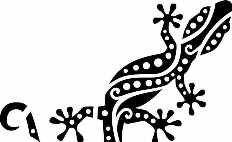 サンショウウオのシンボル。 サンショウウオは何を象徴していますか？
