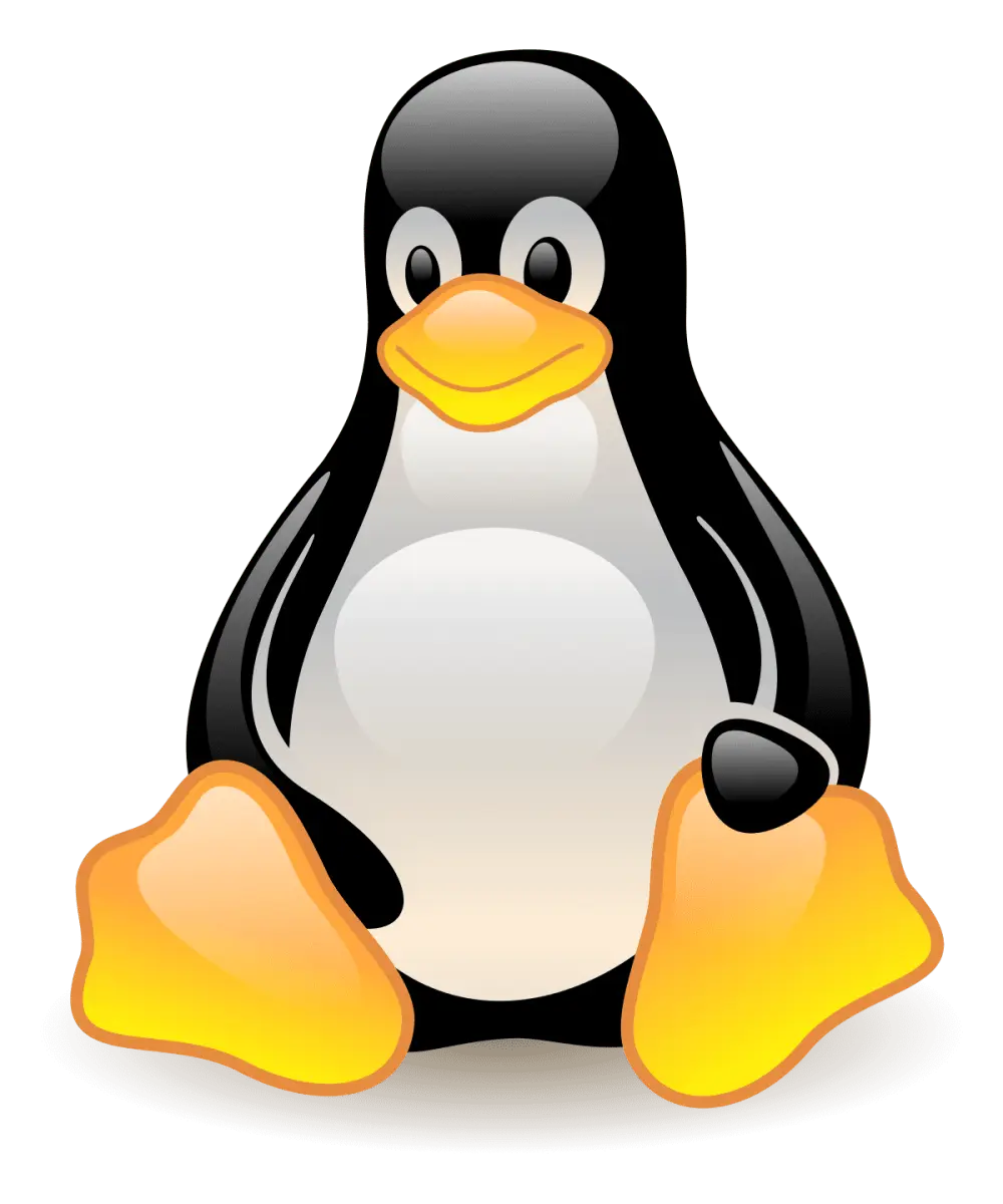 ສັນຍາລັກ Penguin. Penguin ເປັນຕົວແທນແນວໃດ?