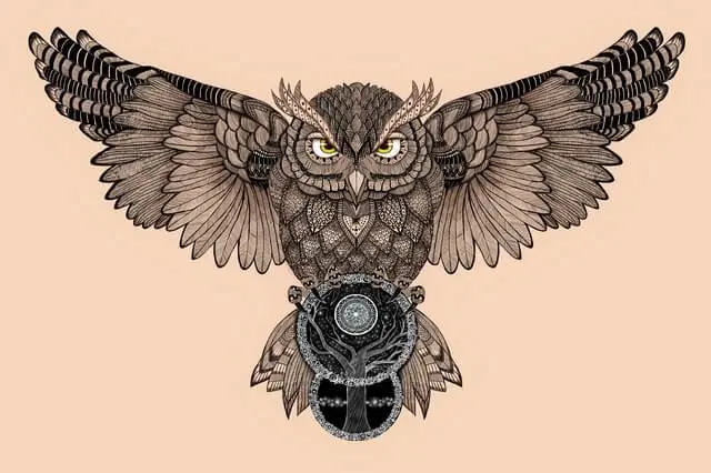 Owl symbolism. What does the Owl symbolize?