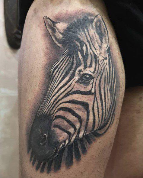 Zebrasymbolik. Was symbolisiert Zebra?