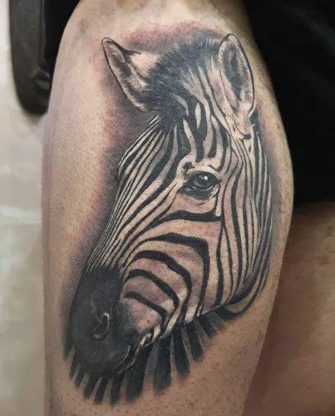 Zebra sinbolismoa. Zer sinbolizatzen du Zebrak?