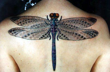 Символизм татуировок стрекозы: 99 дизайнов